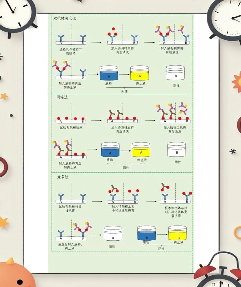 生物科技公司的未来:探索生命科学的无限可能