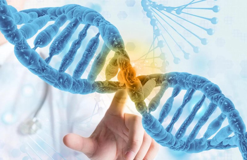 生物科技公司的崛起:一场革命性的变革