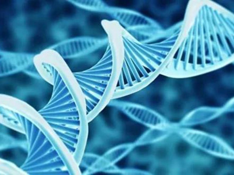 蛋白质组学:解读生命密码的新篇章