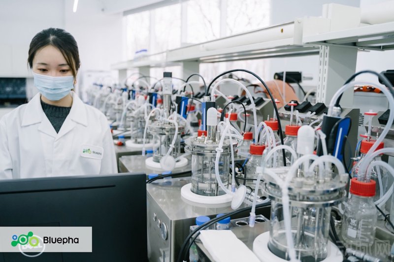 生物科技公司在未来的发展方向如何?