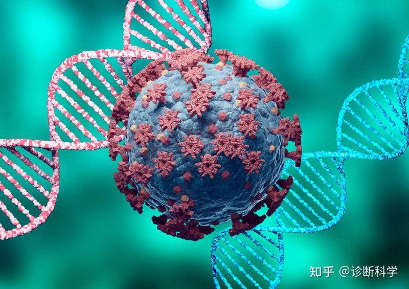 在生物医药研发领域,外包服务已经成为许多企业降低成本、提高效率的重要手段。本文将通过对比分析,探讨国内和国际生物医药研发外包服务商的优劣势,并结合具体案例说明如何选择合适的合作伙伴。